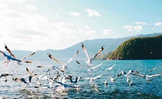 云南地震最新动态消息今天2021 云南普洱市景谷县发生3.0级地震