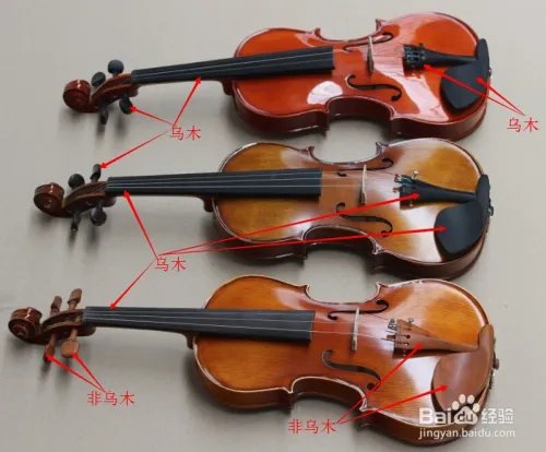 如何选购小提琴？初学者怎样选择小提琴？