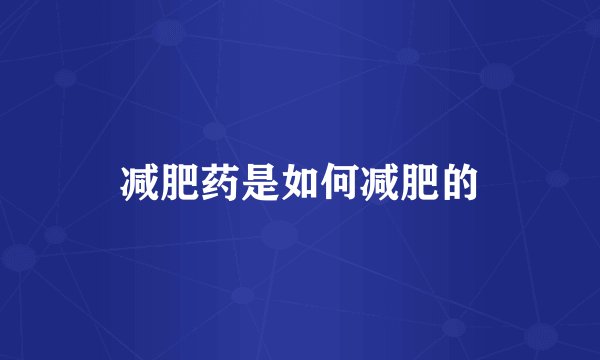 减肥药是如何减肥的