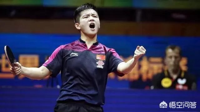 樊振东虽然获得了亚洲杯冠军，但国内媒体说金牌成色不足，你怎么看？