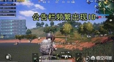 吃鸡主播在直播游戏的过程中，为什么背后没有任何放黑枪呢？是开挂了还是技术好？