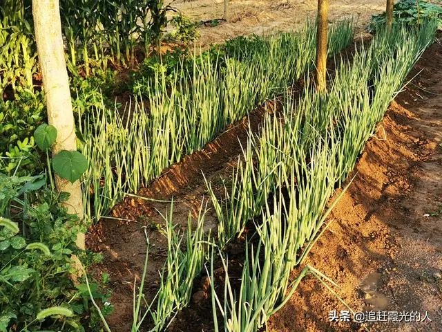 退休后想在附近农村租个房