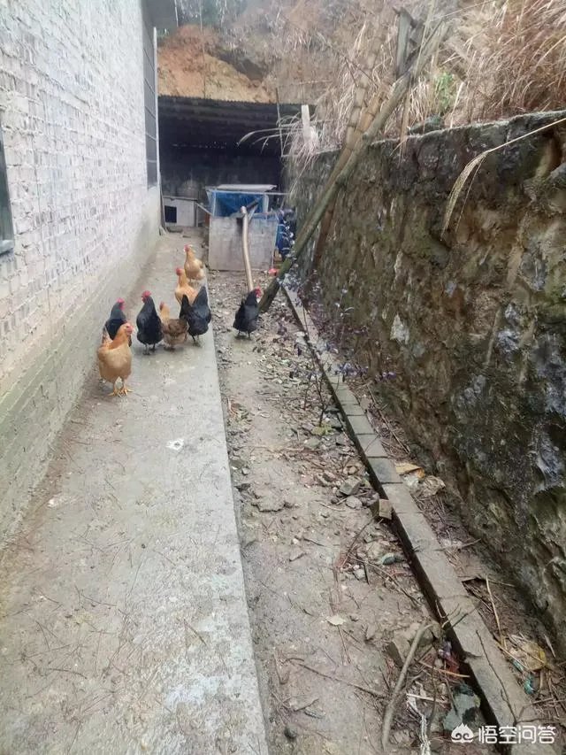 在你们本地,返乡农民工回家乡创业有哪些典型的成功人士?他们创业有哪些经验值得学习?