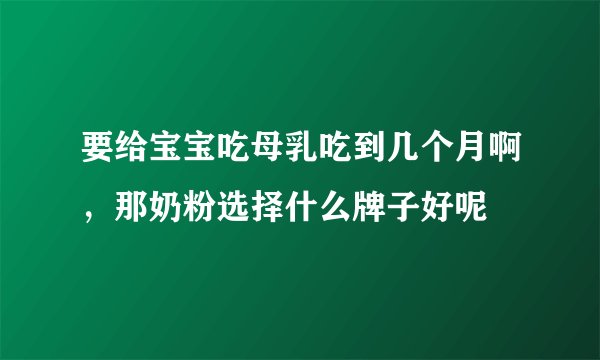 要给宝宝吃母乳吃到几个月啊，那奶粉选择什么牌子好呢
