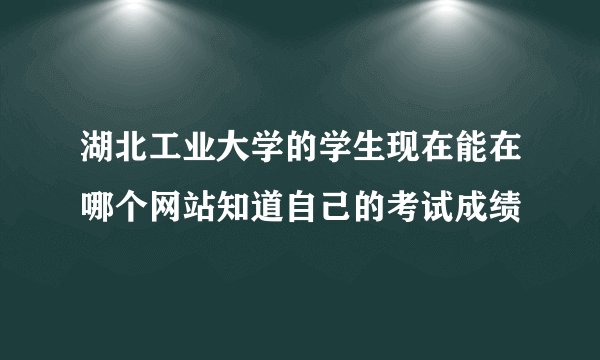 湖北工业大学的学生现在能在哪个网站知道自己的考试成绩