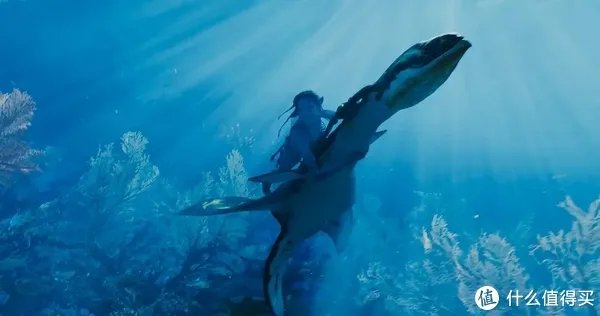 《阿凡达2》时长确定，超过3个小时，到底引不引进？