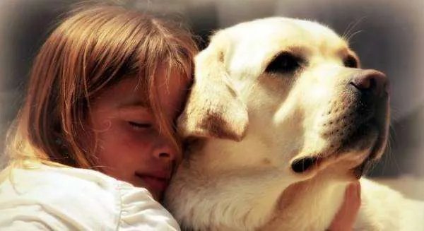 为什么很多人喜欢养宠物?