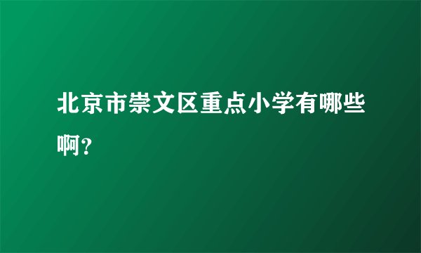 北京市崇文区重点小学有哪些啊？