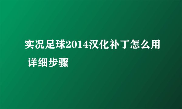 实况足球2014汉化补丁怎么用 详细步骤