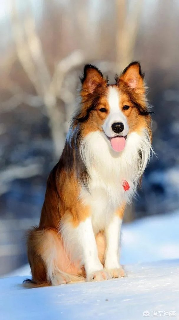 王子文花式瑜伽引发模仿热潮,但是哪类人可别跟着学?