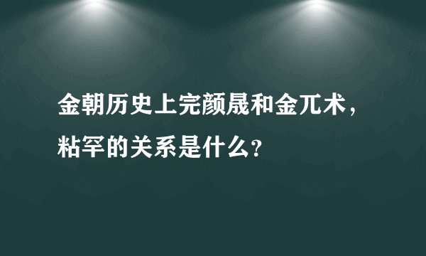 金朝历史上完颜晟和金兀术，粘罕的关系是什么？