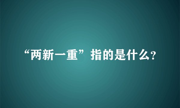 “两新一重”指的是什么？