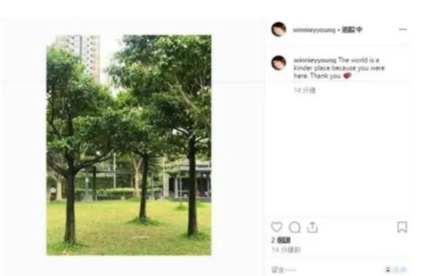 港姐之母陈紫莲离世真正原因曝光 香港半个娱乐圈都来悼念