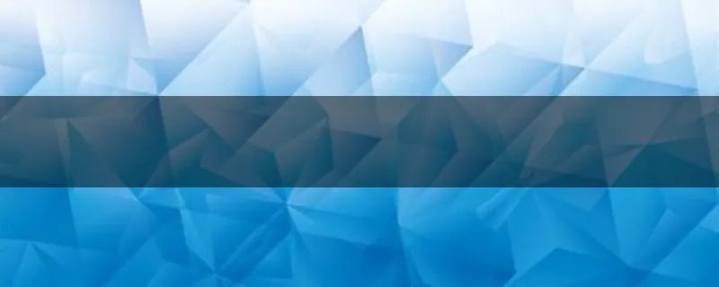 舞龙队一共有多少个人员???