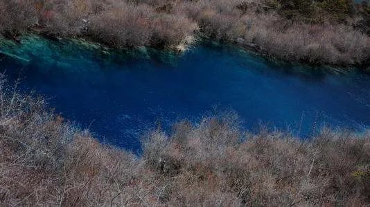 关于九寨沟火花海将恢复开放一事，你有何看法？