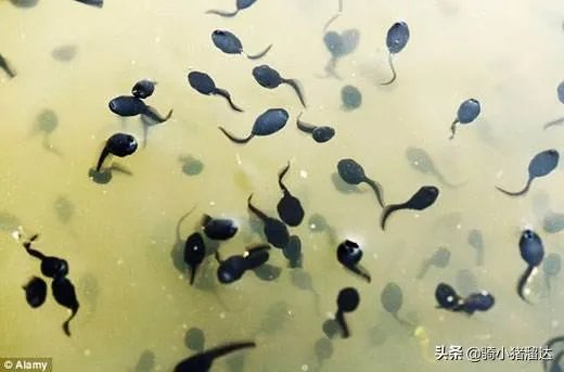 看到女孩抽烟，你的第一想法是什么？