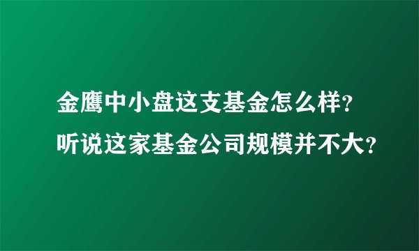 金鹰中小盘这支基金怎么样？听说这家基金公司规模并不大？
