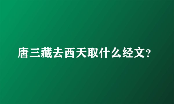 唐三藏去西天取什么经文？
