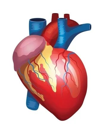 10款流行甲油逐一评点