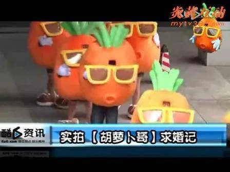 萝卜哥的人物简介