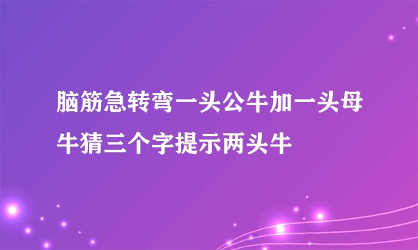 脑筋急转弯一头公牛加一头母牛猜三个字提示两头牛