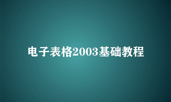 电子表格2003基础教程