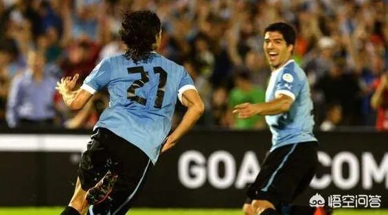 2019美洲杯即将开幕，你看好哪支球队夺冠？