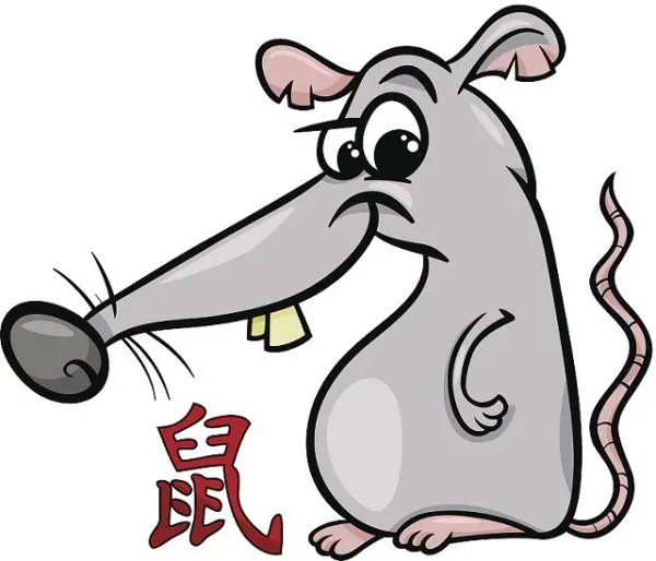 为什么十二生肖中没有猫