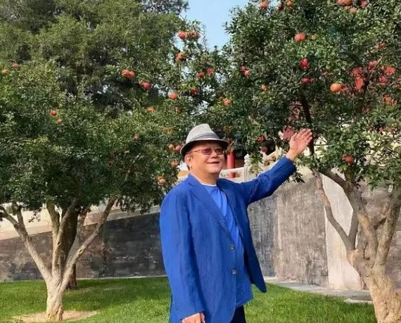 因拒绝生孩子被王刚抛弃的成方圆，后来是怎样报复的？