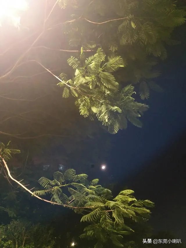 王艳和赵丽颖都饰演《还珠格格》里的晴儿，你更喜欢哪一个？