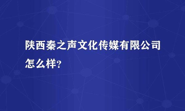 陕西秦之声文化传媒有限公司怎么样？