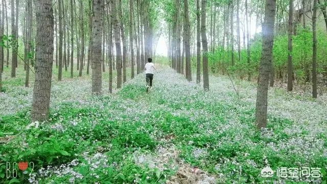 diy服装的创意有哪些？