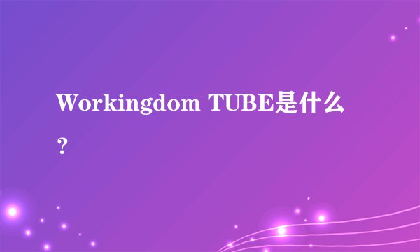 Workingdom TUBE是什么？