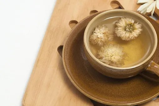 甘菊花的功效与作用