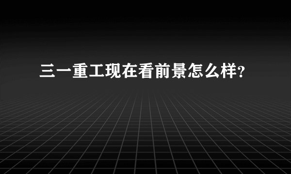 三一重工现在看前景怎么样？