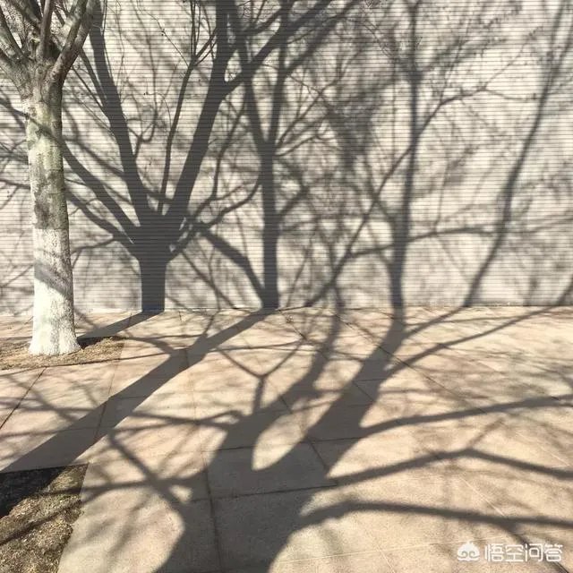 如何利用手机app让一张照片“起死回生”?