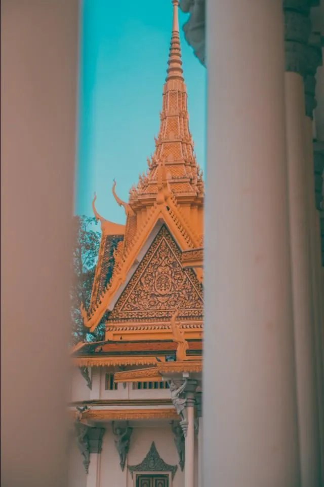 有什么入门单反推荐?跪谢？