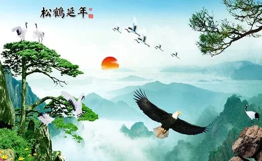 家里有这九种东西让你越住越穷