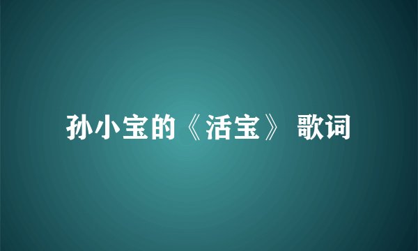 孙小宝的《活宝》 歌词
