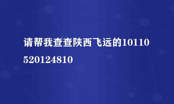 请帮我查查陕西飞远的10110520124810
