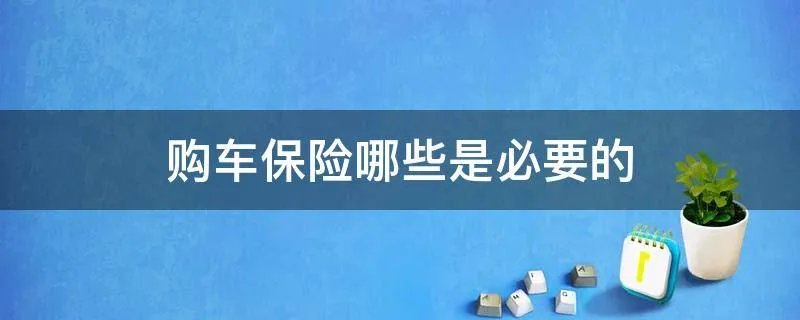 购车保险哪些是必要的
