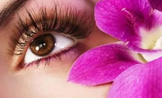 一般种睫毛要多少钱啊?