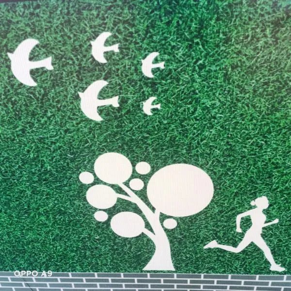 计划在家里健身，跑步和自行车哪个更好呢？