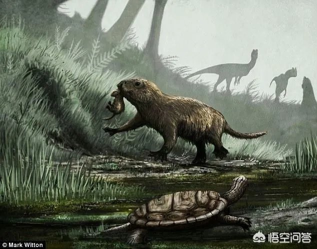 同在一个星球生存，史前动物的体型为什么都很巨大？例如：恐龙？