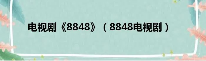 电视剧《8848》（8848电视剧）