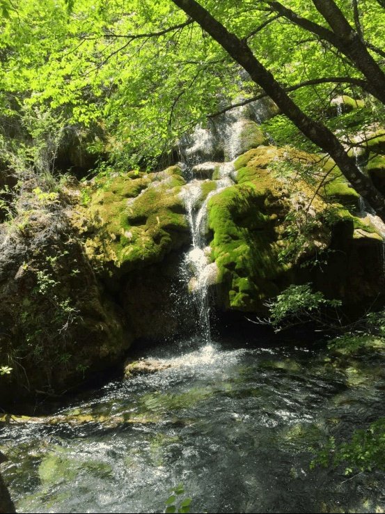 关于九寨沟火花海将恢复开放一事，你有何看法？