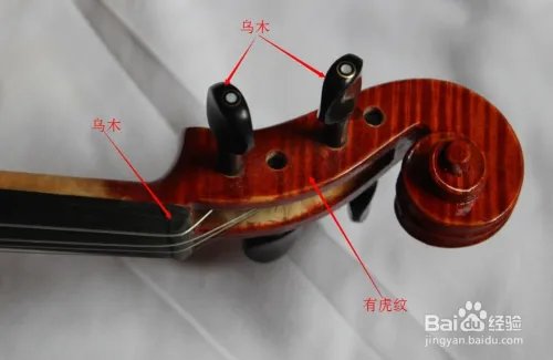 如何选购小提琴？初学者怎样选择小提琴？