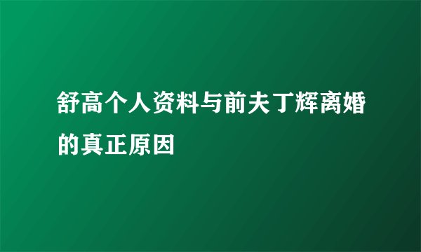 舒高个人资料与前夫丁辉离婚的真正原因