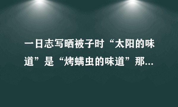 一日志写晒被子时“太阳的味道”是“烤螨虫的味道”那是骗人吧？