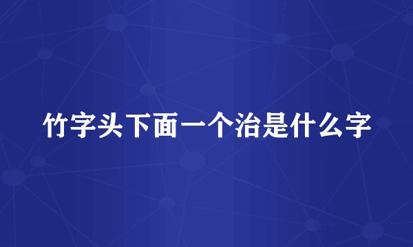 竹字头下面一个治是什么字